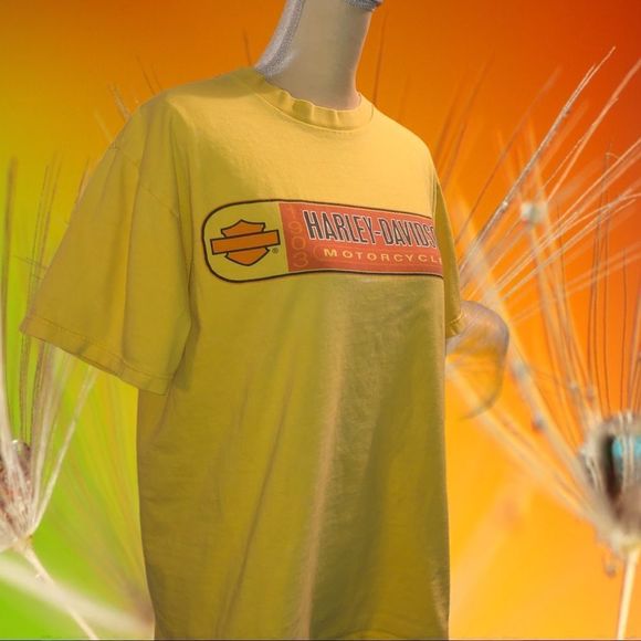 Harley Davidson yellow T-shirt - Picture 4 of 8
